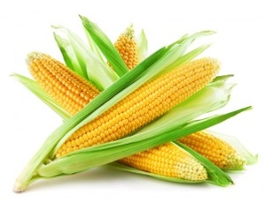 ��������� �������� 1, 2 ������ (����)