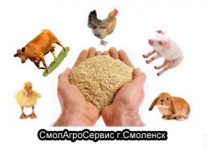 Кормовые добавки для животных и птиц Смолагросервис (Фото)