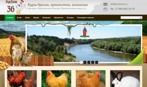 Продажа породистых кур брама, орпингтон, кохинхин в Воронеже и Воронежской области (Фото)