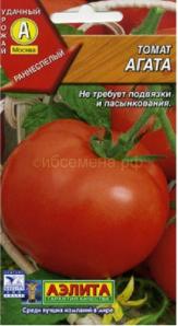 Продам семена томатов для теплицы (Фото)