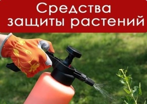����� ��� ���� ��������� (����)