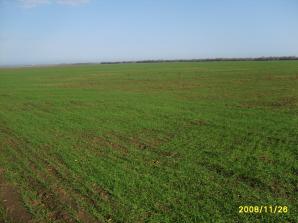 Продаю поливную землю сельскохозяйственного назначения (Фото)