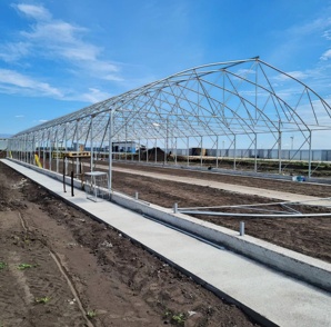Теплица для выращивания сосны (Фото)