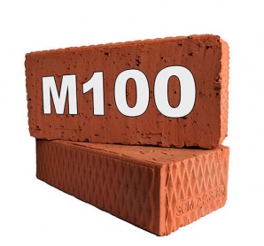 ������ ������� ���������� �-100 (����)