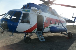 ������� ����� ��������� �������� 246-1517-000 (����)