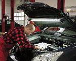 ���������������� ����������� LENA LIGHTING ��� ���� �������� (����)