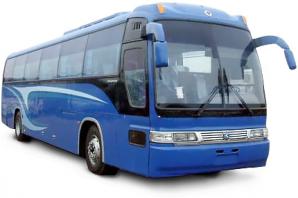 Амортизатор задний уши с двух сторон AA94A-28-700A для автобуса Kia Grandbird (Фото)