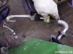 ������� ������ ������� ���� (����)
