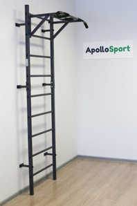 �������� ������ "���������" � �������� ��-004 ApolloSport (����)