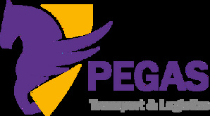 Надежная грузоперевозка от «PEGAS LOGISTICS» (Фото)