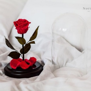 ���� � ����� Notta&Belle ������ � � ������������-��-����� (����)