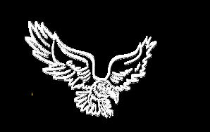 Берт-Инновация (Фото)