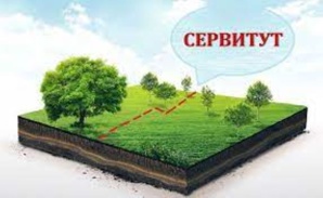 Установление сервитута для юридических лиц в Санкт-Петербурге (Фото)