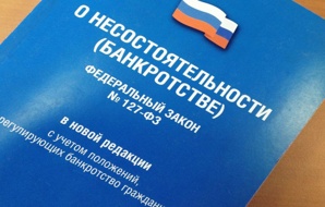 Задолжали банкам, МФО или людям? Законно освободим от долгов! (Фото)