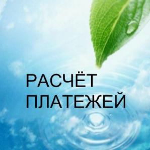 Расчет платы за НВОС (Фото)