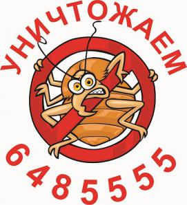 Уничтожение клопов, их дезинсекция, борьба с клопами (Фото)
