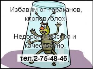 Уничтожение тараканов, блох, клопов и прочих насекомых. Без грязи, быстро, качественно (Фото)