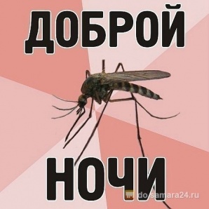 ������� ����� ������� �� 2���� (����)