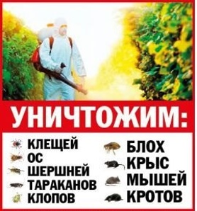 СЭС Москва Профессиональная обработка от насекомых грызунов (Фото)
