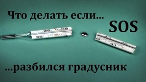 ������ �����, �������� ���������, ����� ����� ����� � ������ � ������� (����)