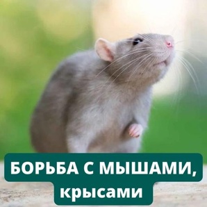 ���������� ��������� (����)