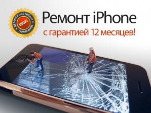������ Apple iPhone � ��������� 12 ������� (����)