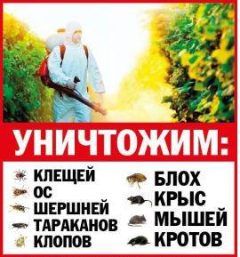 Центр дезинсекции и дератизации ООО СЭС-ПРО (Фото)