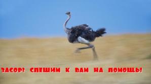 Прочистка канализации в Новой Москве срочно (Фото)