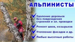 ����, ������� ��������. ����������-�������� ������ (����)
