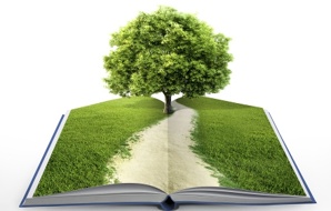 Утилизация книг (Фото)