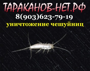�������� ��������� � ��������. ��� ����������, ���������, �������? (����)