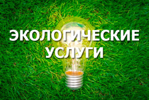 Экологическая документация и услуги (Фото)