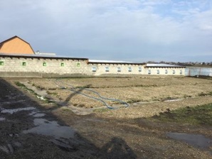 Действующая птицеферма по выращиванию бройлеров - продажа (Фото)