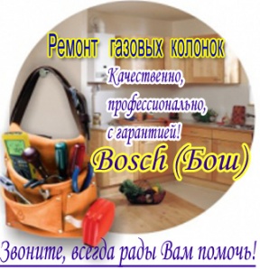 ������ ������� ������� Bosch (���) � ��� (����)