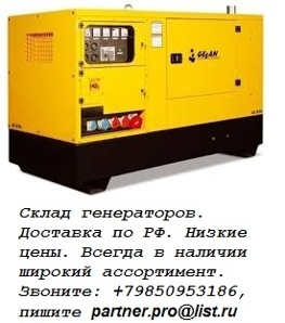 ������ ��������� �������������� (���������)  Pramac GSW 10P (����)