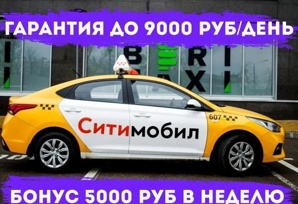 ������ � ����� ��������� (����)