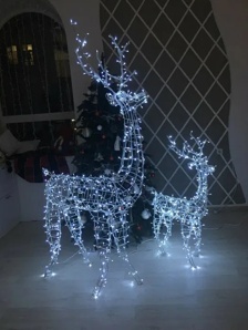 3 � ����� ���������� (����)