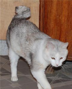 �����? �� ���, ����� �� ��� ����� - ��� ������ (����)