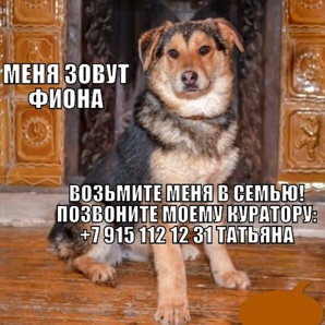 ����� ���� �����, ������ � ���, ����� ������ ��������� (����)