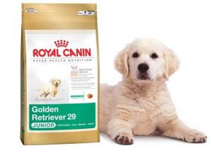 ����� Royal canin � Pro plan � ��������� �� ��� (����)