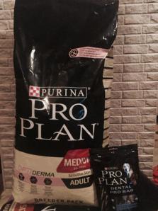 ���� Pro Plan 18 ��. ������� � ������� (����)