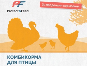 Комбикормовый завод предлагает сотрудничетво партнерам (Фото)