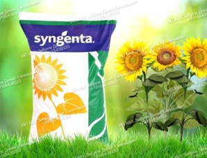 ������� ������ ������������� ������� HTS Express Syngenta (����)