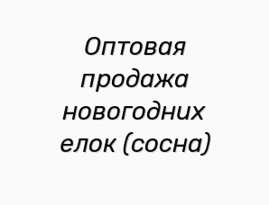 ������� ������� ���������� ���� (�����) (����)
