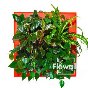 ����������� � ���������� Flowall (����)