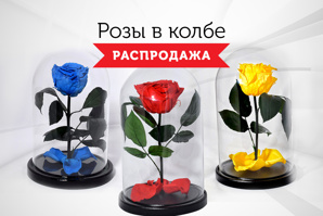 Розы в колбе. Распродажа! (Фото)