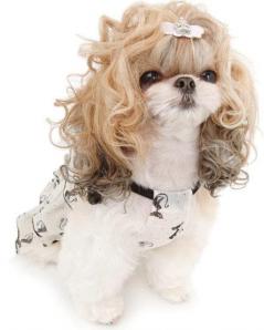 ������� �����. ����� �������, ������� �� ���. ������� �����. (����)