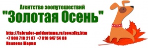 Поездки на выставки собак (Фото)