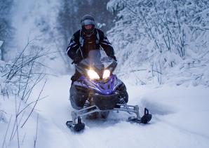 �������� Yamaha Viking Professional (2005 ����) (����)