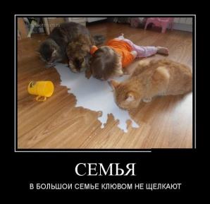 Смотреть демотиваторы (Фото)